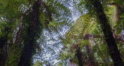 Te Nikau Retreat - Hostel