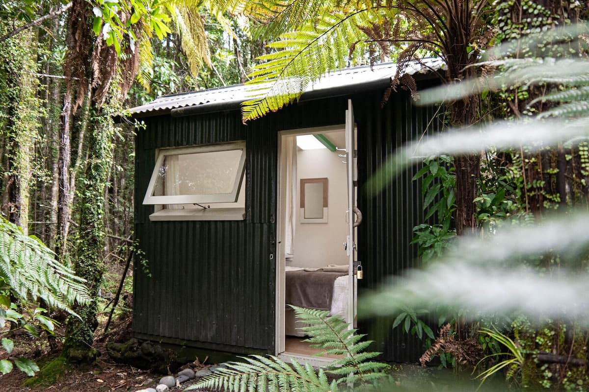 A small, dark green wooden cabin with a single window and a door, surrounded by dense forest and ferns.