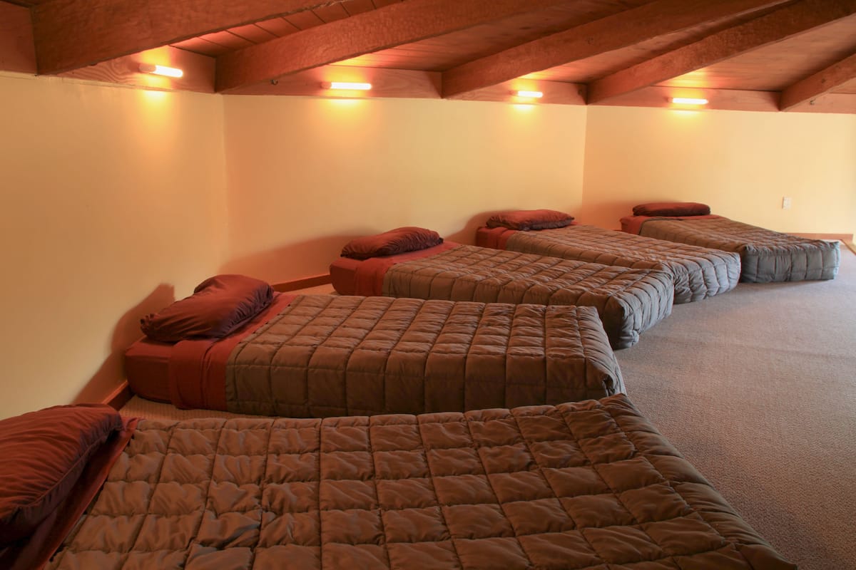 A row of four single beds with brown bedding in a room with wooden beams on the ceiling.
