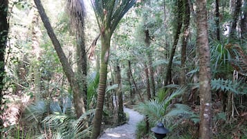 Jardines del alojamiento