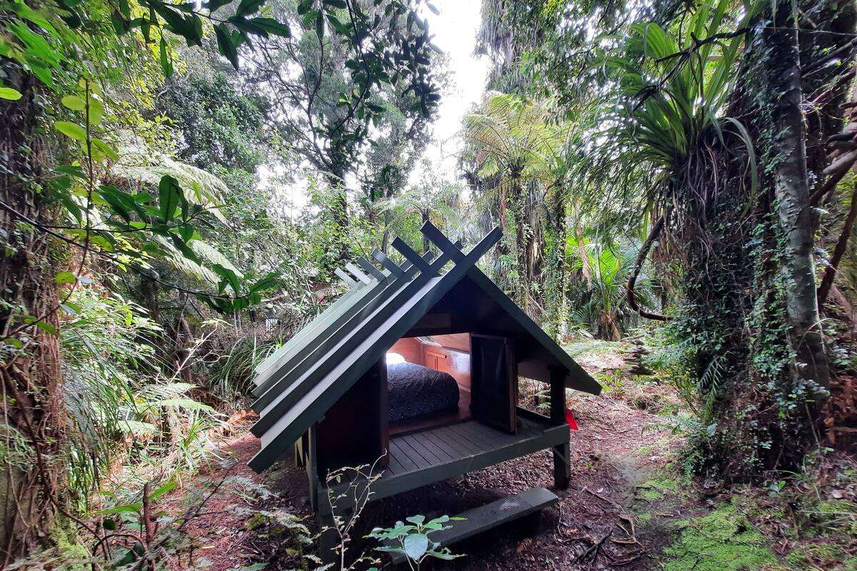 A small wooden structure with a sloped roof, surrounded by dense forest vegetation.
