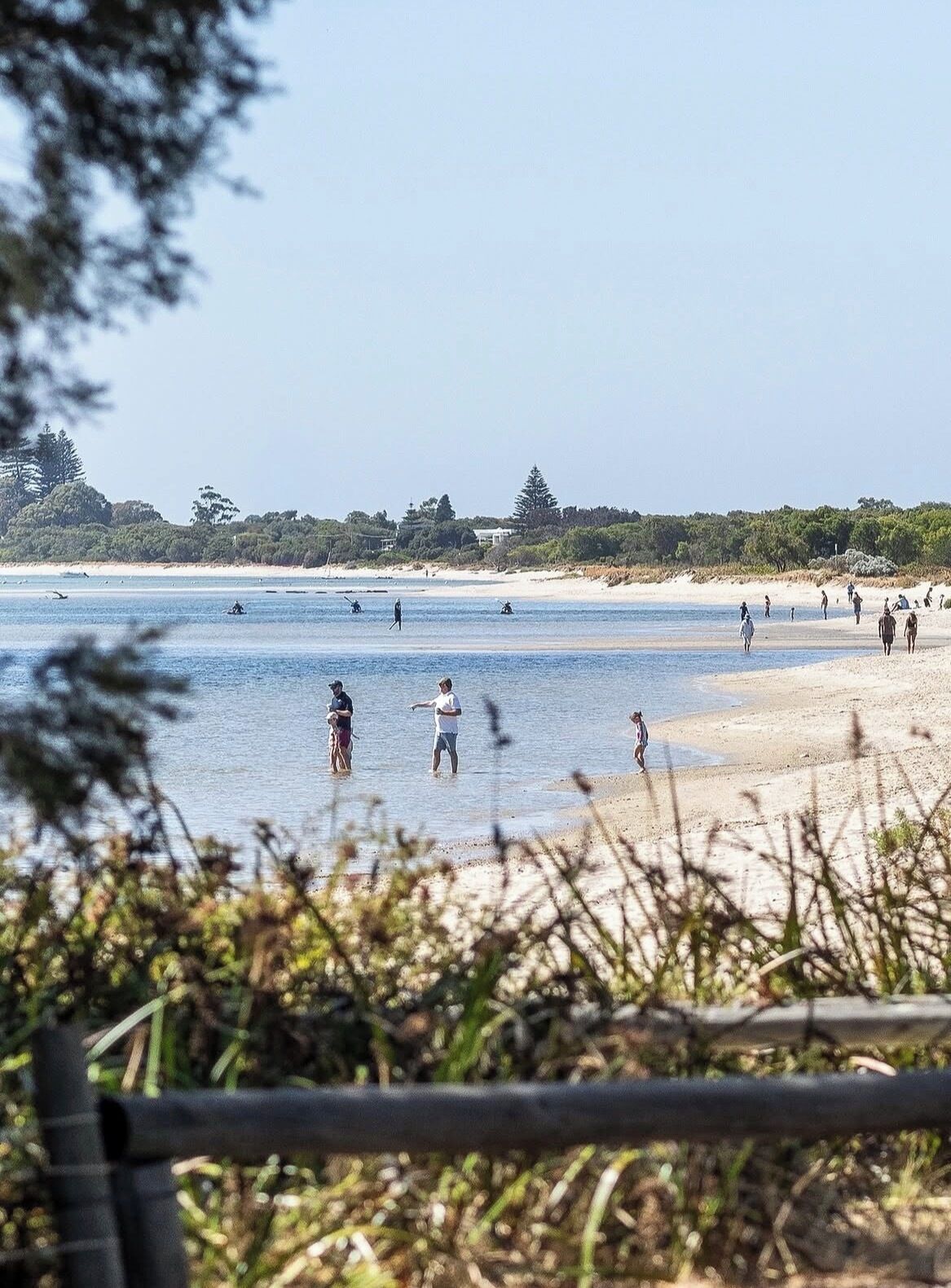 Una playa con gente realizando diversas actividades, cielo despejado y una hilera de árboles al fondo.