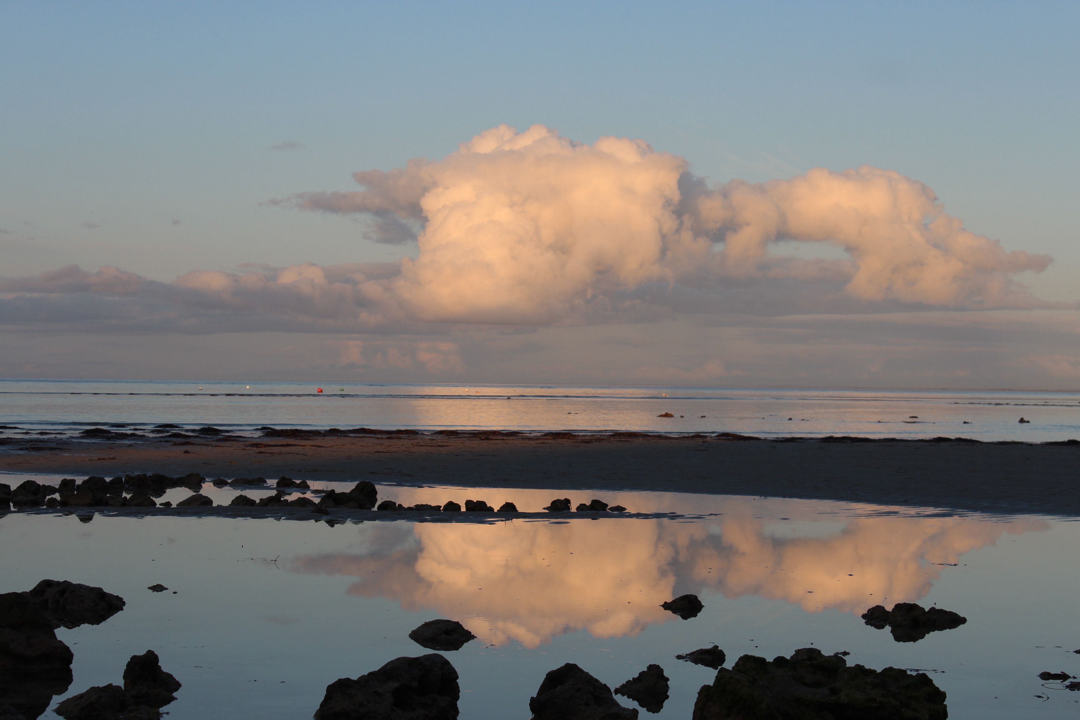 Whalers Cove Villas — image 24