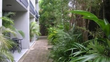 Estudio básico, cocina básica | Terraza o patio