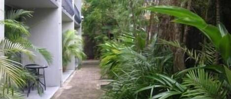 Basic Studio, Kitchenette | Terrace/patio