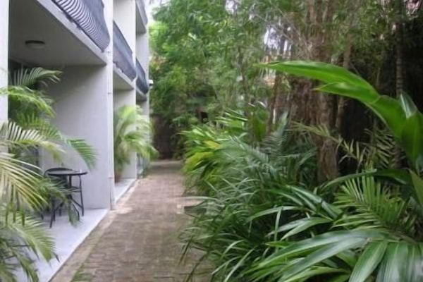 Basic Studio, Kitchenette | Terrace/patio