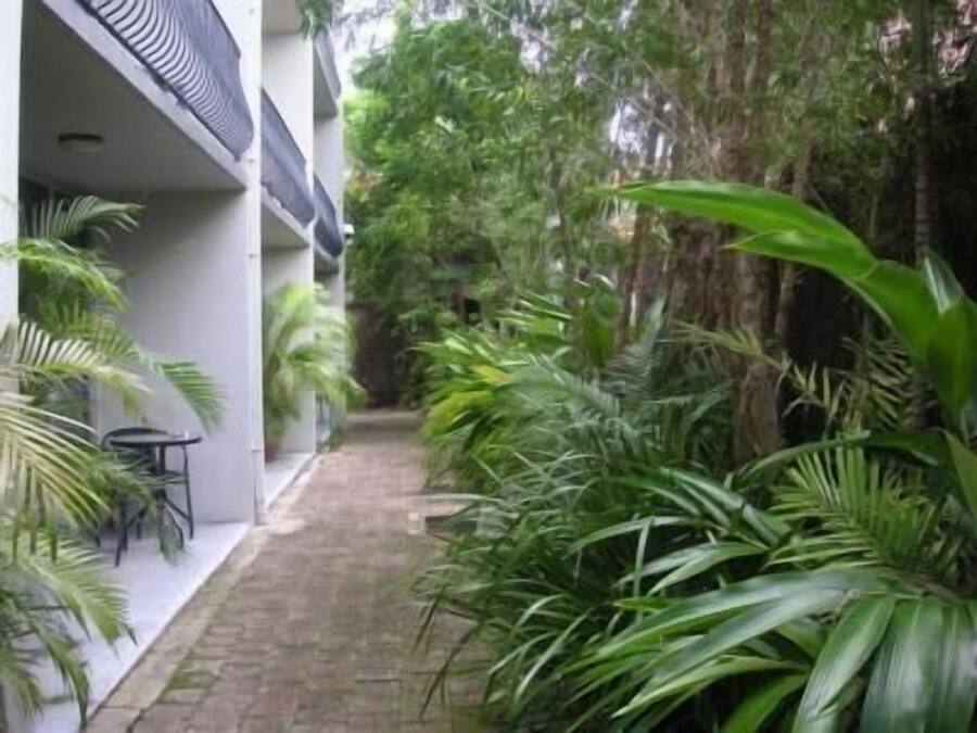 Basic Studio, Kitchenette | Terrace/patio