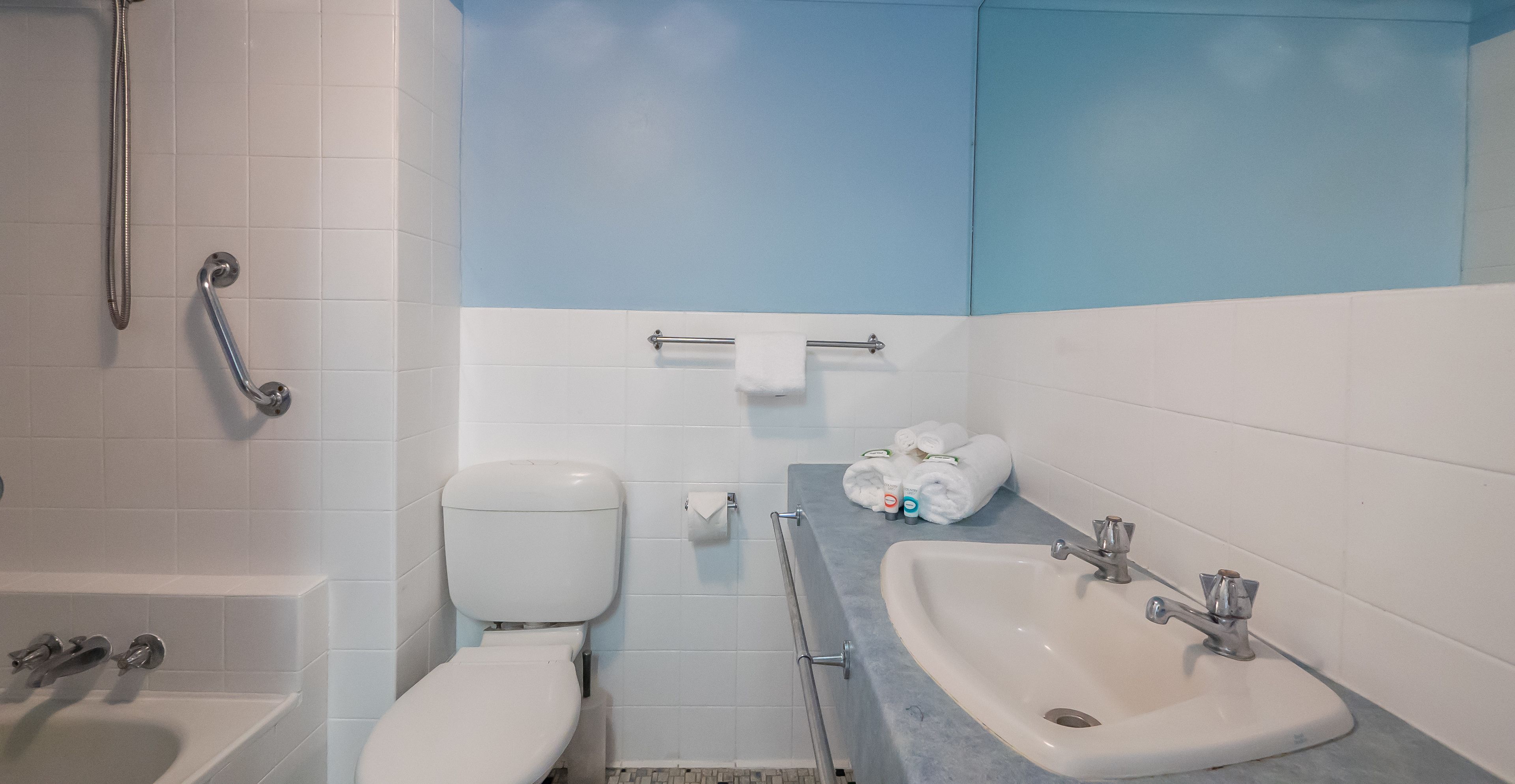 combined shower/bathtub, free toiletries, hair dryer, towels