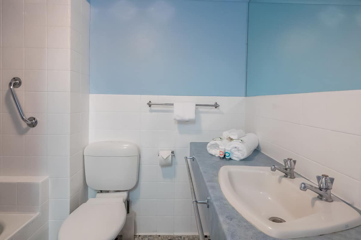 combined shower/bathtub, free toiletries, hair dryer, towels