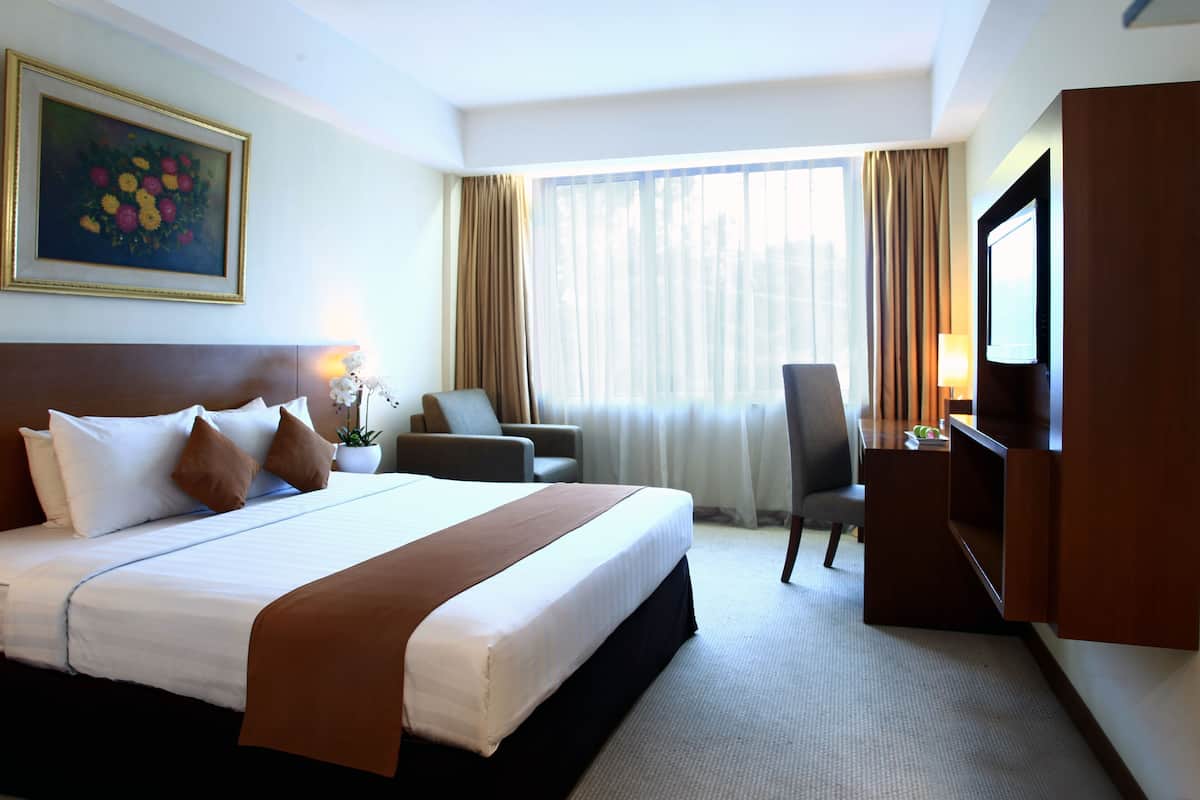 Minibar, in-room safe, iron/ironing board (on request), WiFi (free)