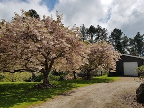 Exterior - Haurata - High Country Retreat - Hostel (Otoko)