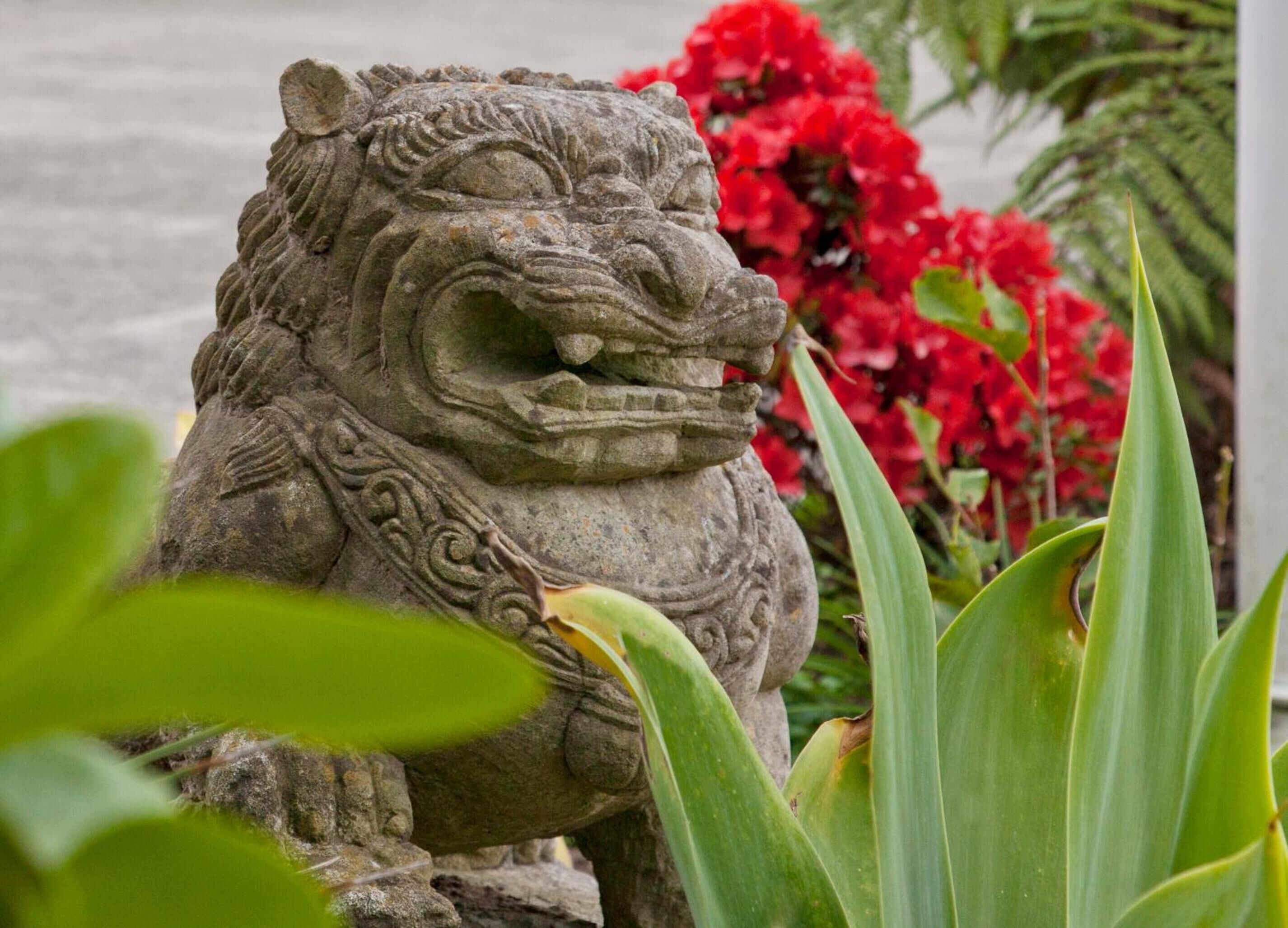A stone lion statue in a garden with red flowers and green foliage.