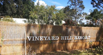 Vineyard Hill