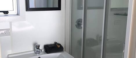 Une salle de bain avec un lavabo blanc, un miroir et une cabine de douche en verre.
