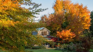 Een huis omringd door herfstbladeren.