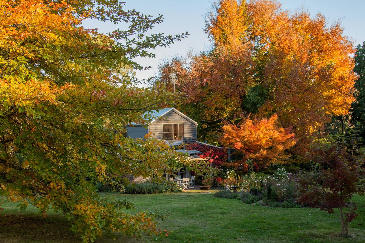 Een huis omringd door herfstbladeren.
