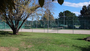 Una pista de tennis amb una tanca de filferro, un arbre i un cel serè.