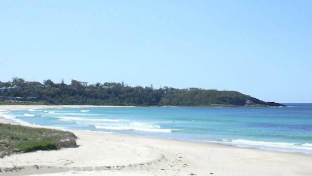 A beach with clear blue water and a sandy shore. There are trees and buildings in the background. - Mollymook Cove Apartments (Mollymook)