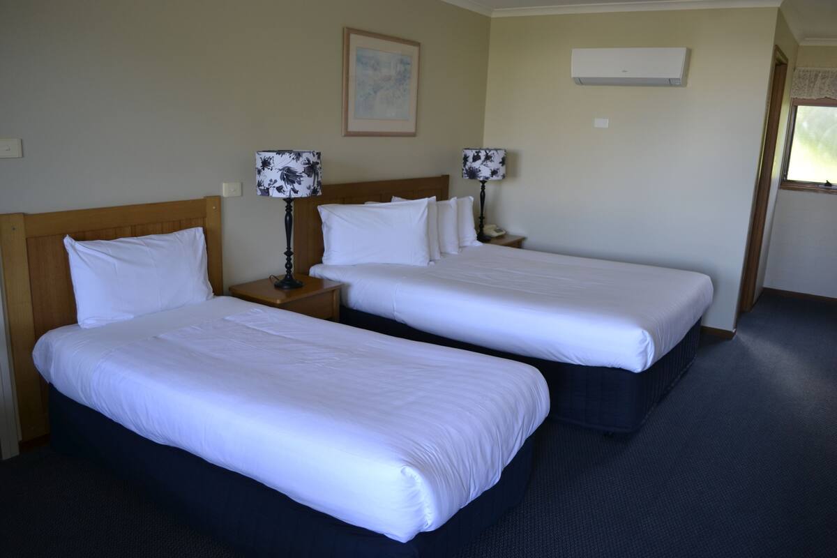 Deluxe Twin Room | Desk, iron/ironing board (on request), free WiFi, bed sheets