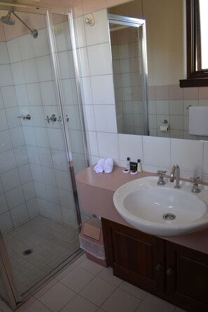 Standard Twin Room | Bathroom | Shower, free toiletries, hair dryer, towels