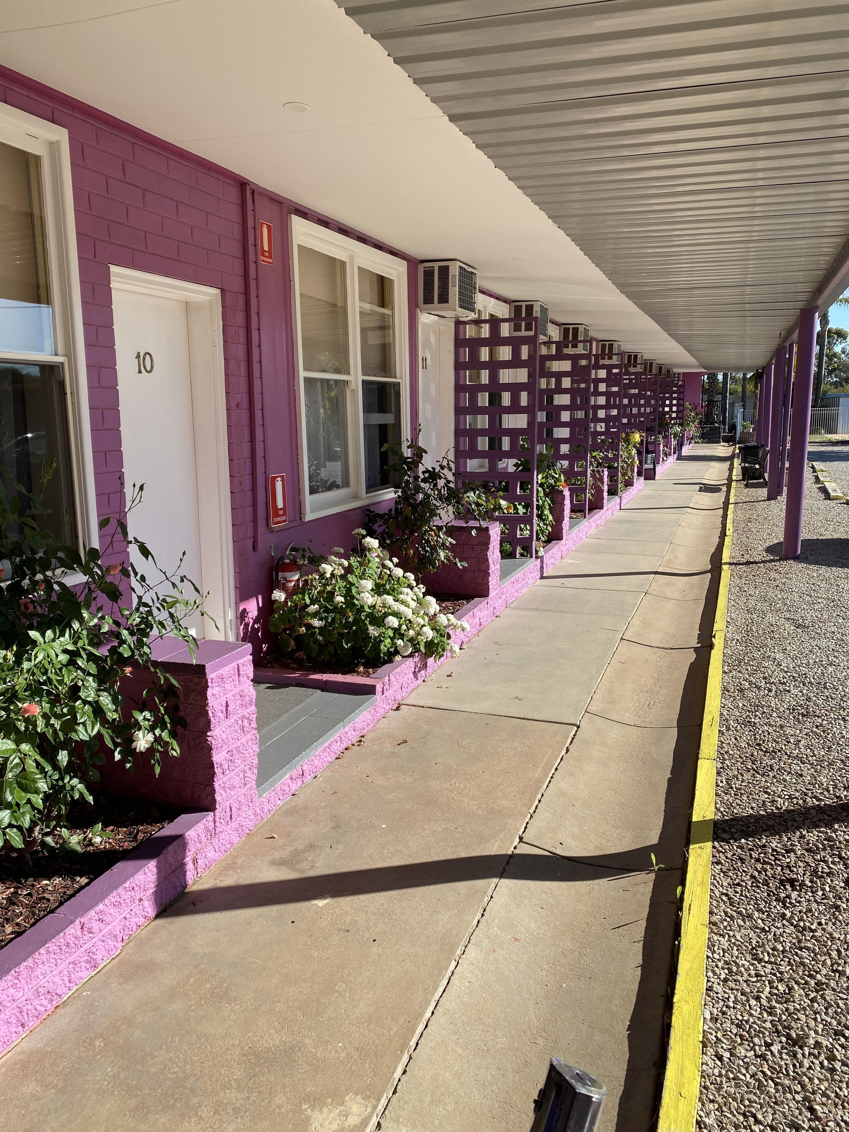 A row of motel rooms with purple walls and numbered doors, a covered walkway, and small planters with flowers.