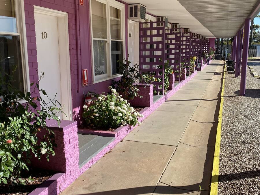 A row of motel rooms with purple walls and numbered doors, a covered walkway, and small planters with flowers.