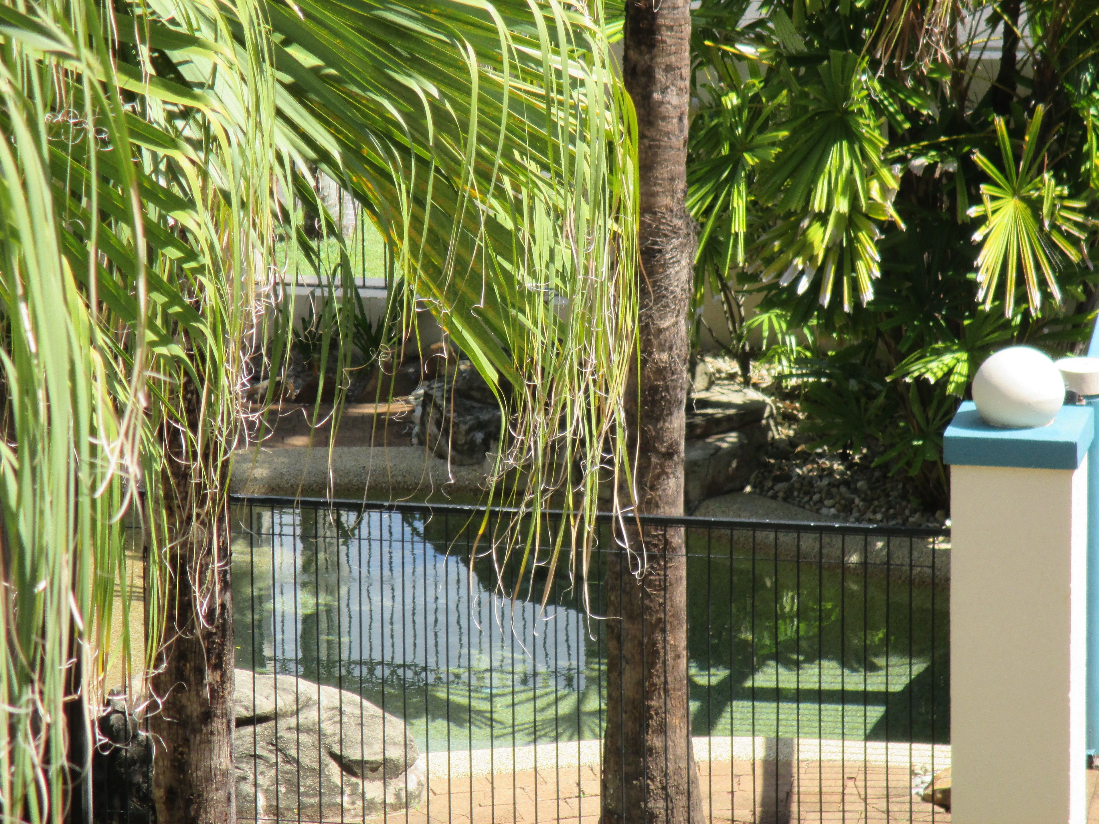 Royal Palm Villas Cairns — image 2