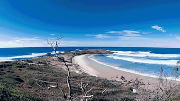 Pantai di sekitar