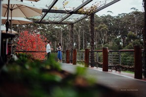 Point of interest - Edge of the Forest (Margaret River)