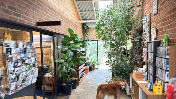 A bookstore with a dog, brick walls, and indoor plants. - Edge of the Forest (Margaret River)