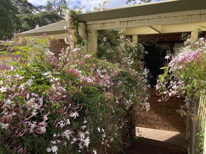 Exterior - Edge of the Forest (Margaret River)