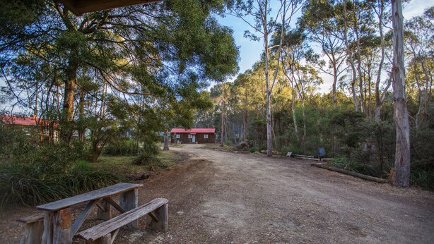A rustic wooden picnic table and bench in a forested area with a dirt path leading to a red-roofed building. - Rosedale Cottages (Taranna)