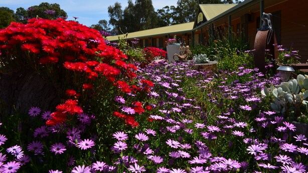 Ein Garten mit roten und violetten Blumen vor einem Gebäude mit einem gelben Dach.