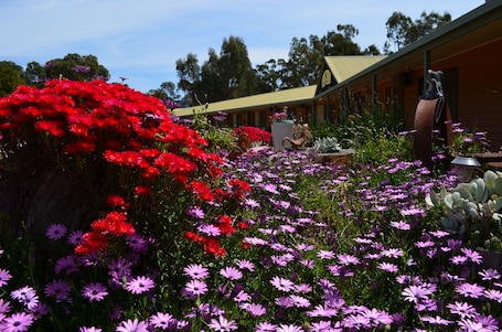 Jardín. Mountain View Motor Inn & Holiday Lodges