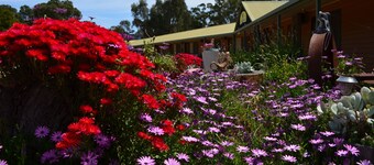 Mountain View Motor Inn & Holiday Lodges