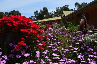 Mountain View Motor Inn & Holiday Lodges