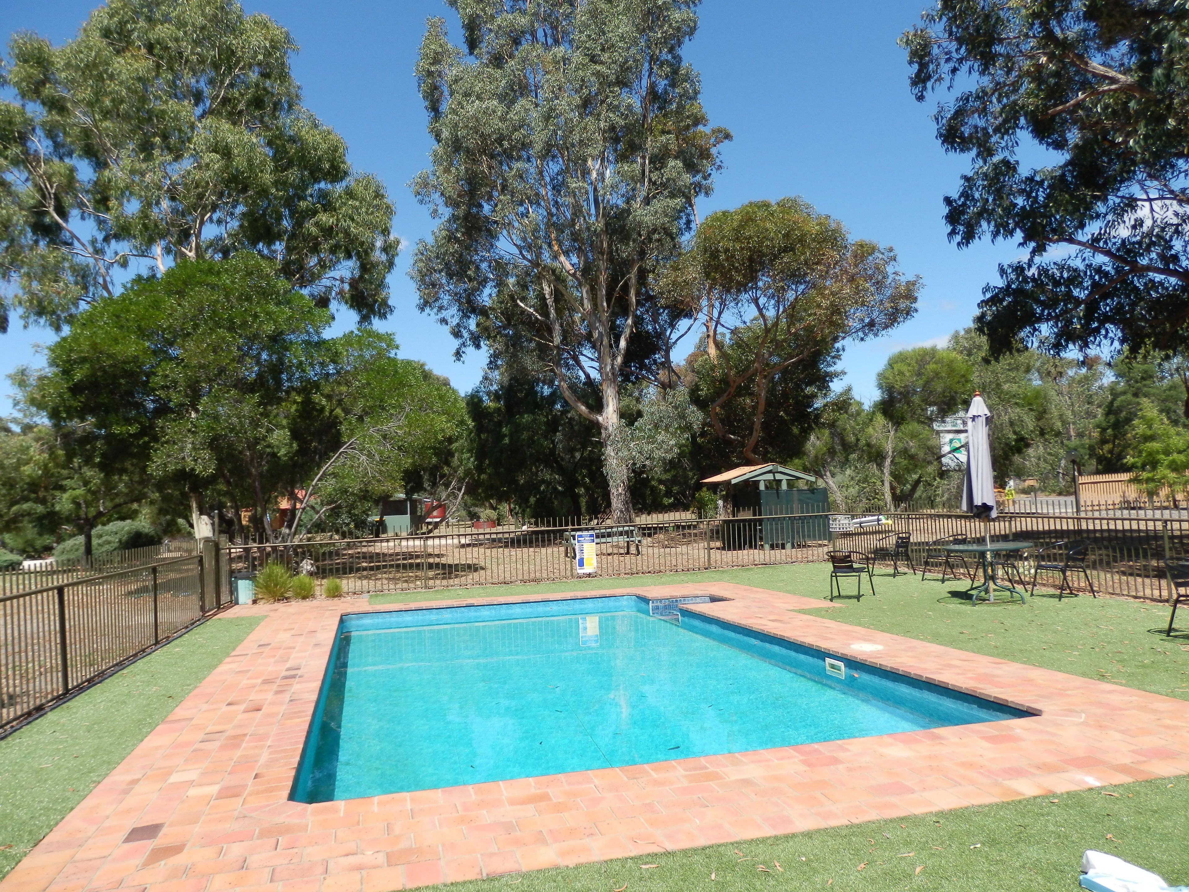 Una piscina rectangular con borde de azulejos, rodeada por un patio de ladrillo y una cerca metálica.