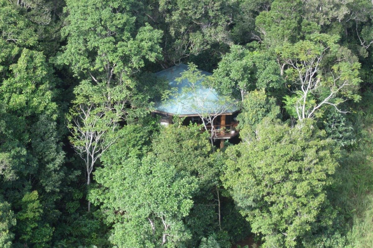 Una cabaña apartada rodeada de un bosque frondoso.