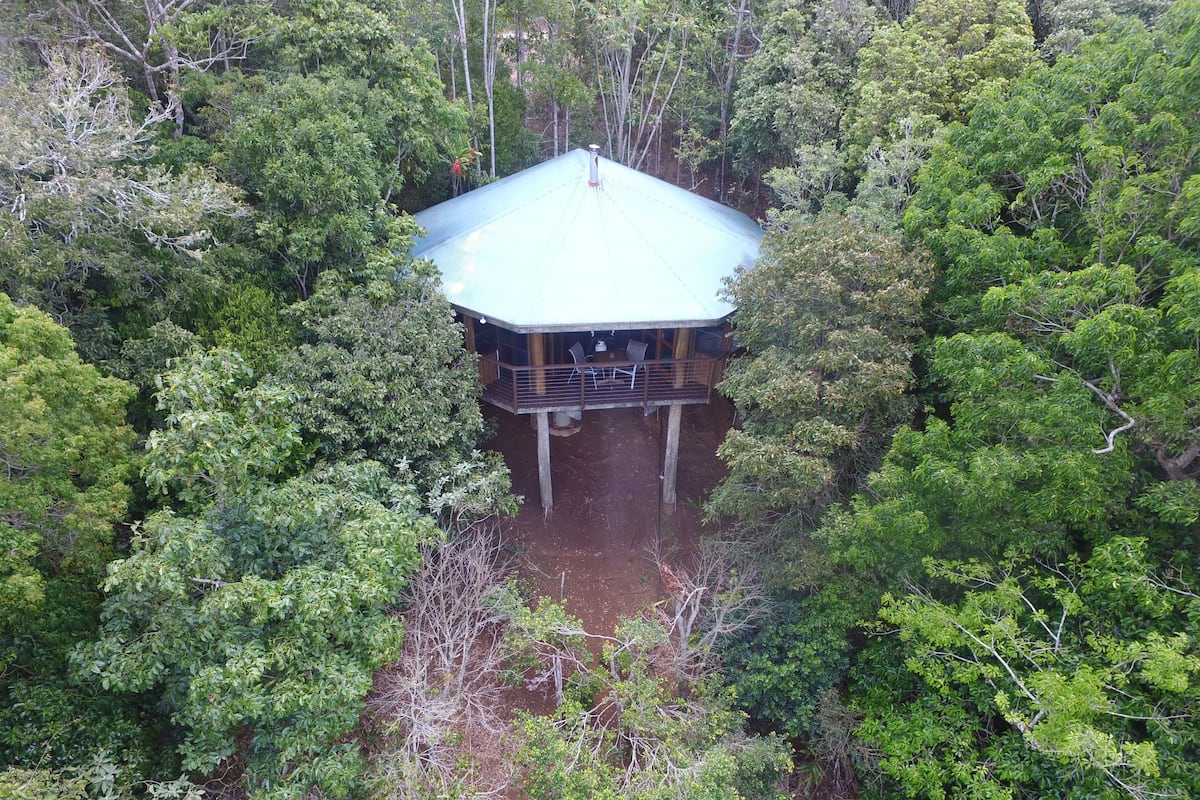Una casa en árbol con techo de metal, rodeada de un bosque denso.
