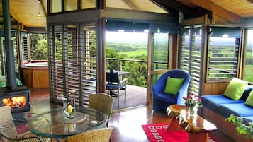 Flat-screen TV, fireplace, DVD player