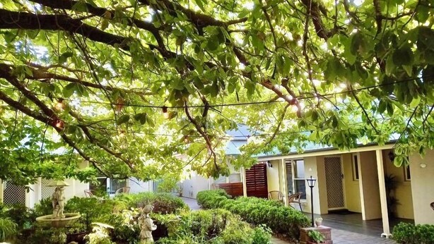 Un patio con una fuente, plantas en macetas y un edificio con un corredor cubierto.