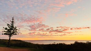 Un paysage côtier avec un seul arbre et une vue dégagée sur l’océan au coucher du soleil.