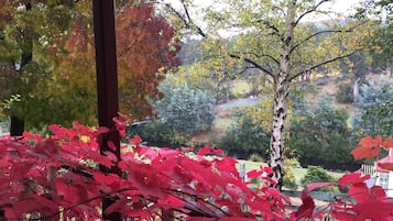 Heritage Apartment - 1 Bedroom | View from room