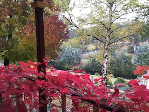 Vista a través de una ventana con follaje rojo en primer plano, una estructura de madera y un paisaje con árboles y un camino al fondo.