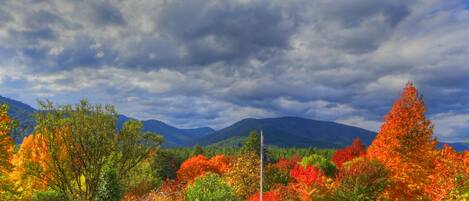 A landscape with autumn foliage, mountains in the background, and a cloudy sky.