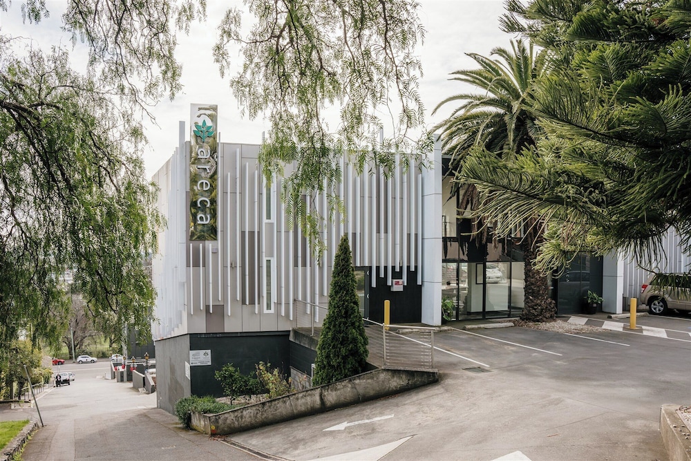 Areca Launceston by null