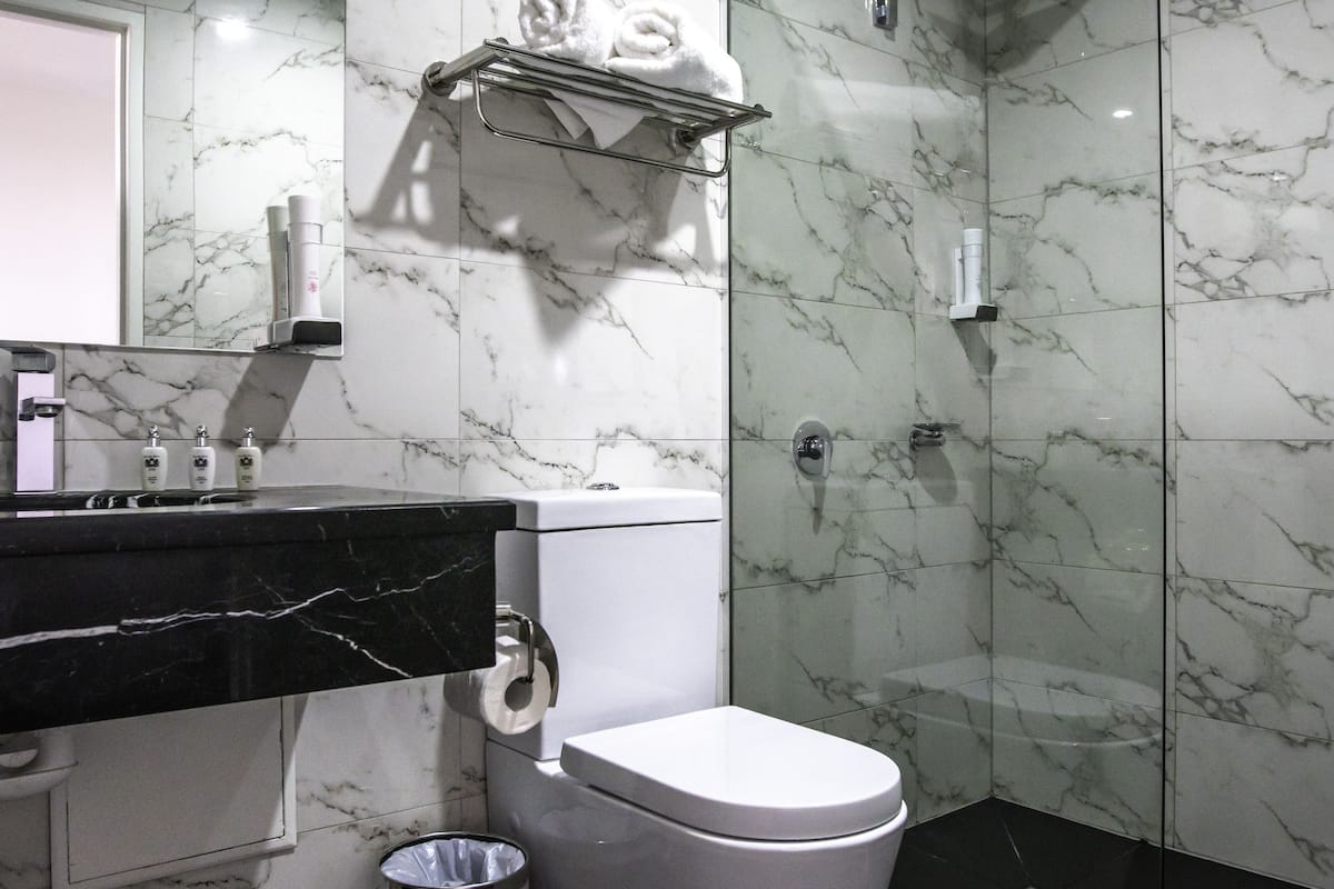 shower, free toiletries, hair dryer, towels