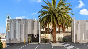 A modern building with a palm tree in front, a signboard on the left, and a parking area. - Areca Launceston (Launceston)