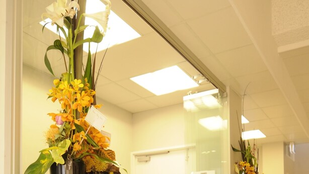 Un comptoir d’accueil avec un revêtement rouge et de nombreux arrangements floraux.