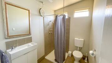 A bathroom with a shower, toilet, sink, and mirror.